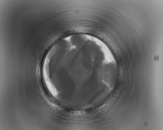 X0000097590398200803211641