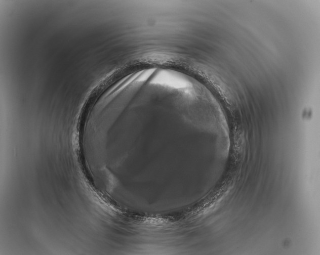 X0000097590399200803211641