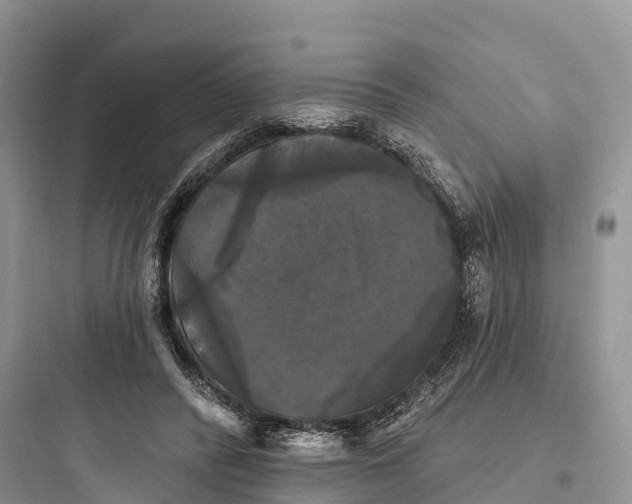 X0000097590400200803211641