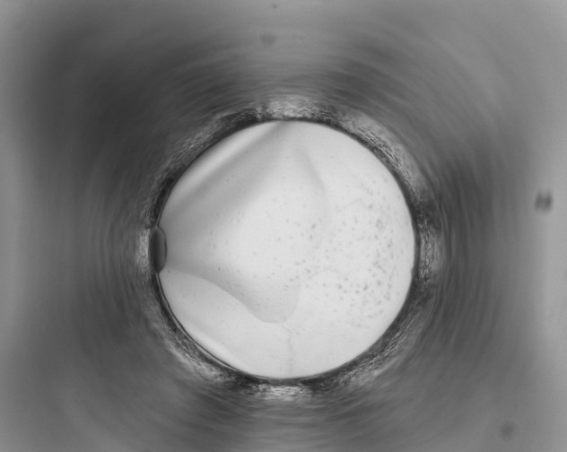 X0000097590401200803211641