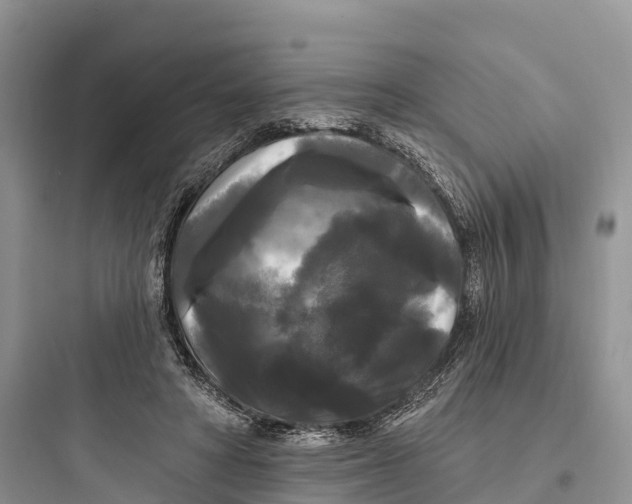 X0000097590402200803211641