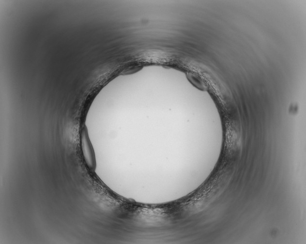 X0000097590403200803211641