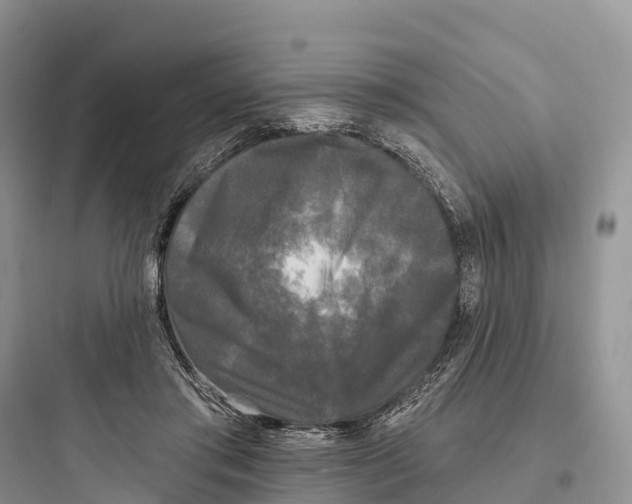 X0000097590405200803211641