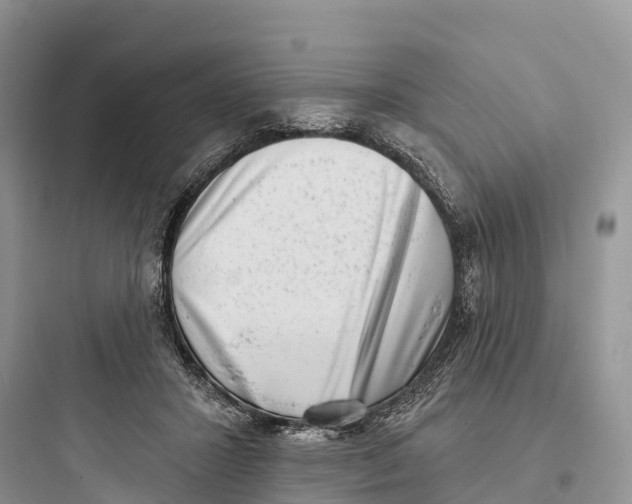 X0000097590407200803211641