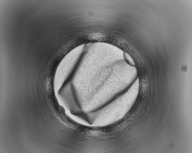 X0000097590408200803211641