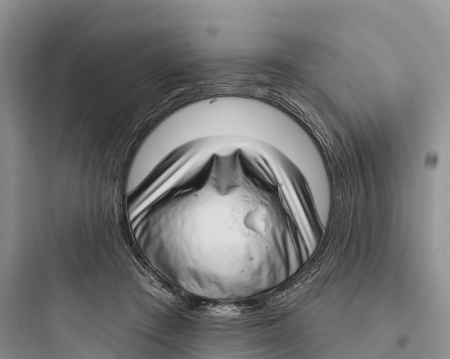 X0000097590409200803211641