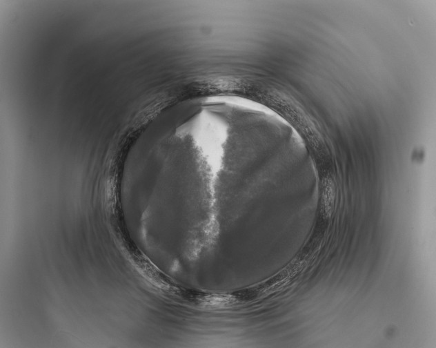 X0000097590410200803211641