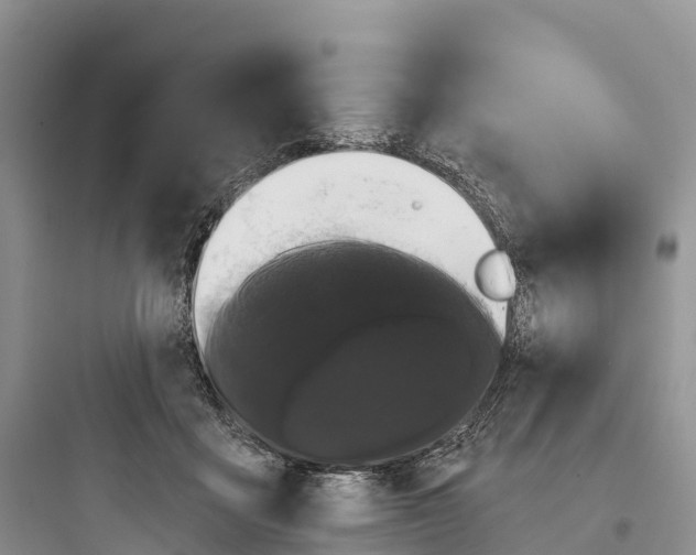 X0000097590411200803211641