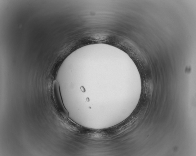 X0000097590412200803211641