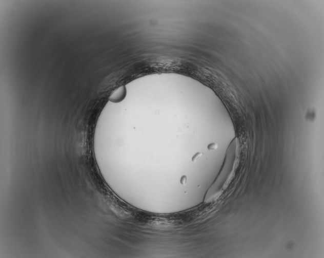 X0000097590416200803211641