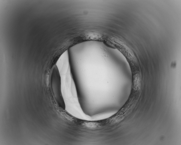 X0000097590417200803211641