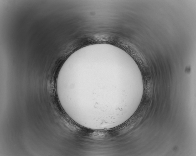 X0000097590418200803211641