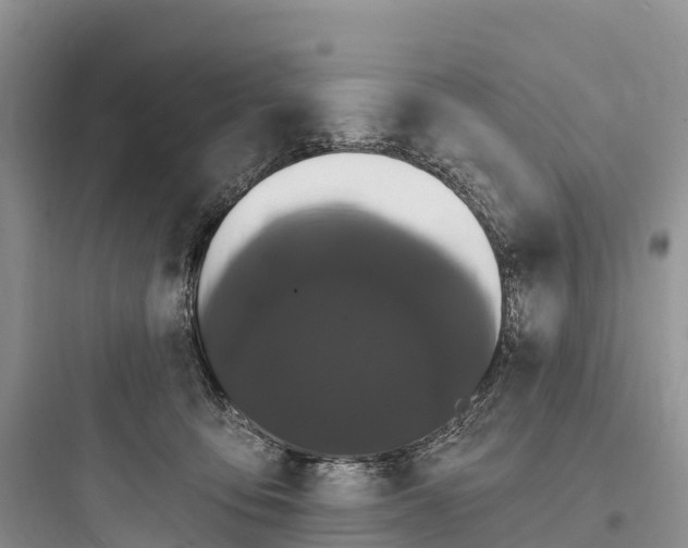 X0000097590419200803211641