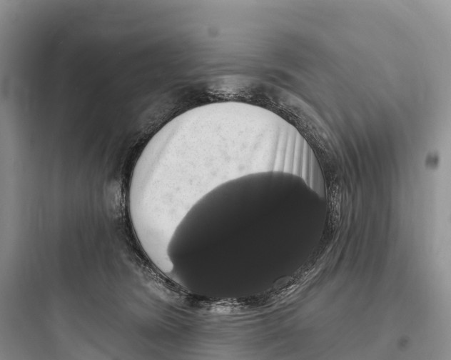 X0000097590420200803211641