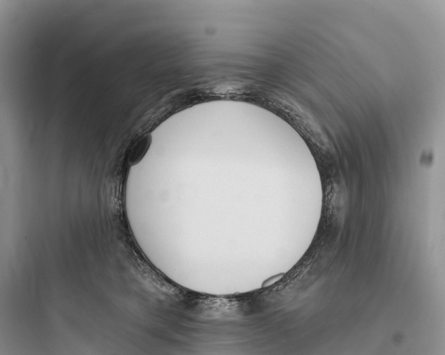 X0000097590421200803211641