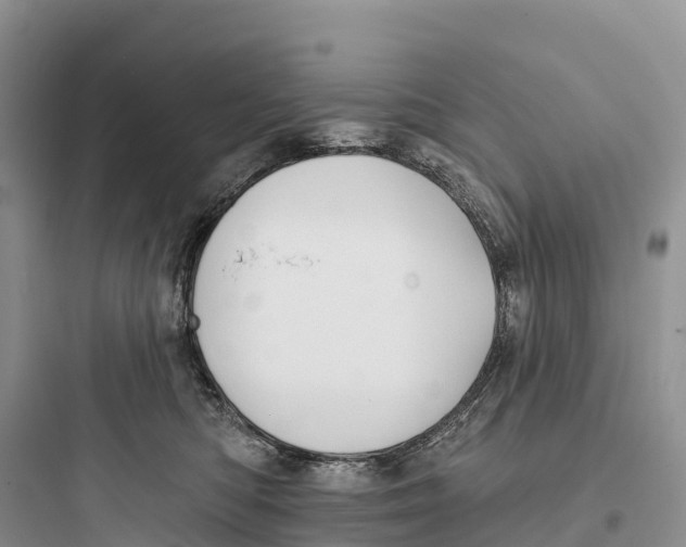 X0000097590422200803211641