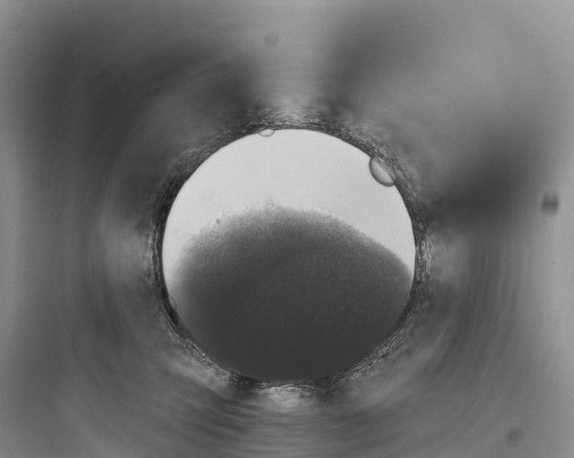 X0000097590423200803211641