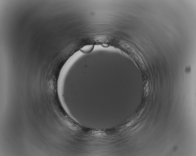 X0000097590424200803211641