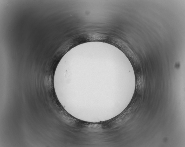 X0000097590426200803211641