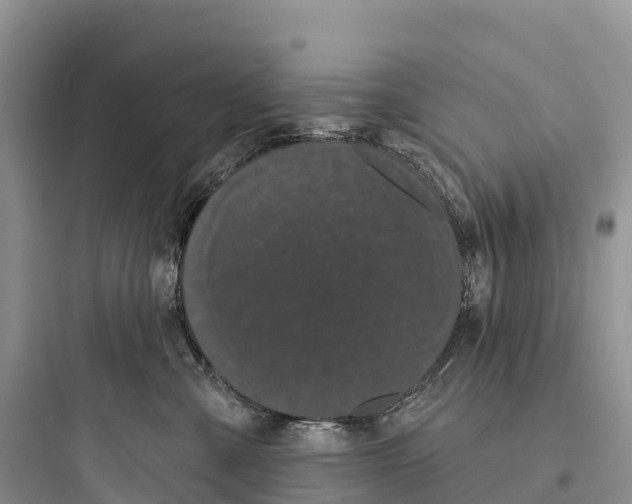 X0000097590427200803211641