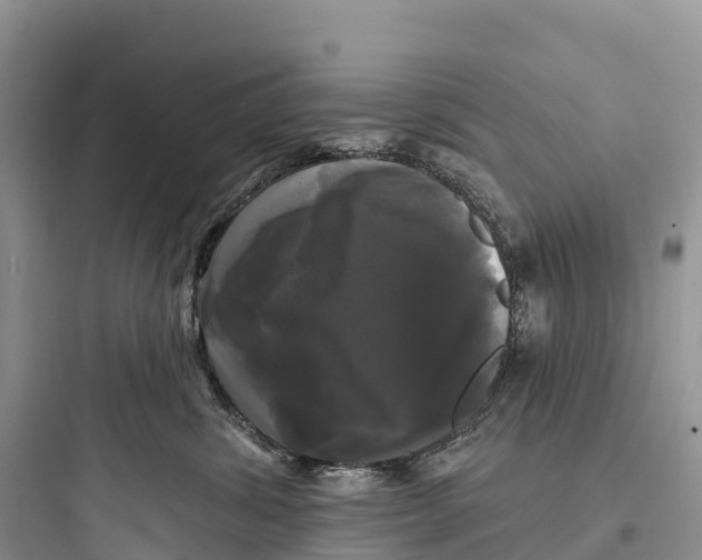 X0000097590428200803211641