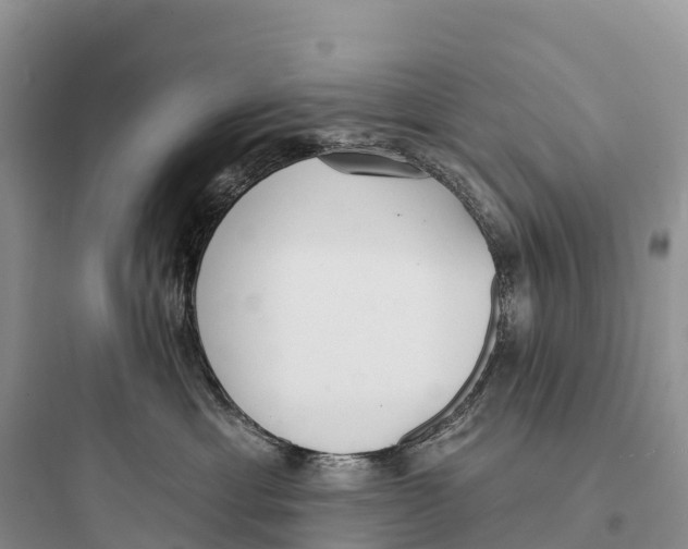 X0000097590429200803211641