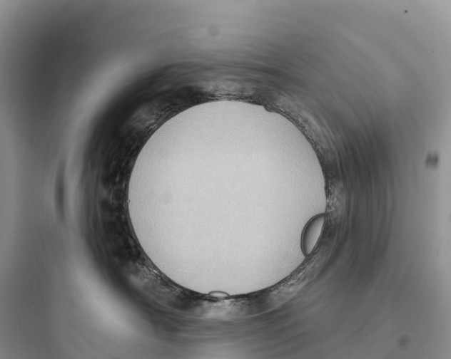 X0000097590430200803211641