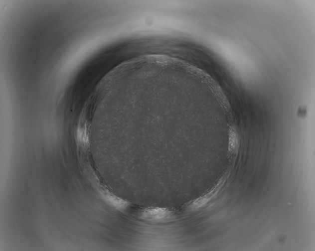 X0000097590431200803211640