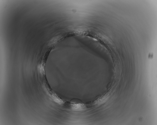 X0000097590432200803211640