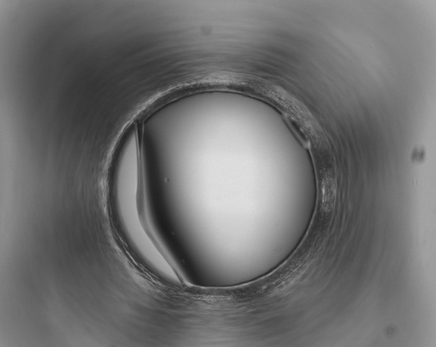 X0000097590436200803211640