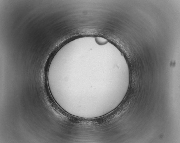 X0000097590439200803211640