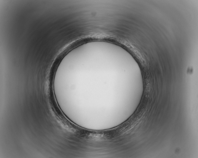 X0000097590440200803211640