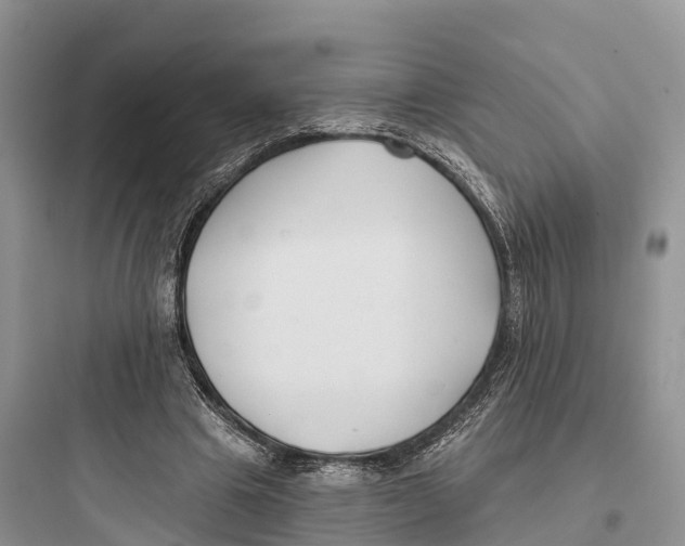 X0000097590441200803211640