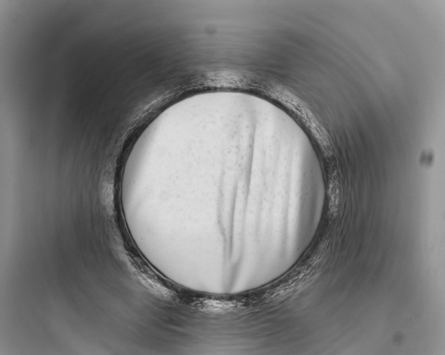 X0000097590442200803211640