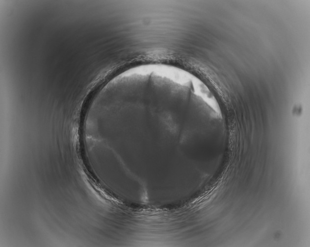 X0000097590443200803211640