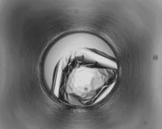 X0000097590444200803211640