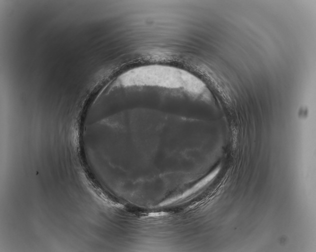 X0000097590447200803211640