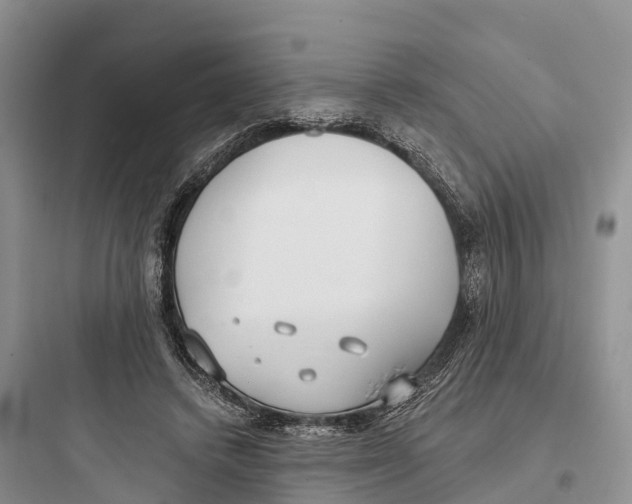 X0000097590448200803211640