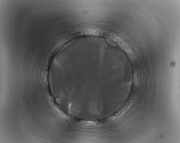 X0000097590449200803211640