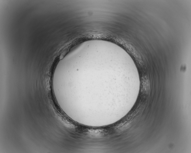 X0000097590450200803211640