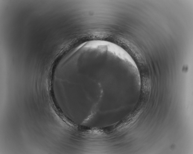 X0000097590451200803211640