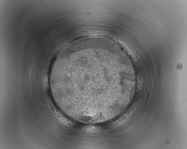 X0000097590453200803211640