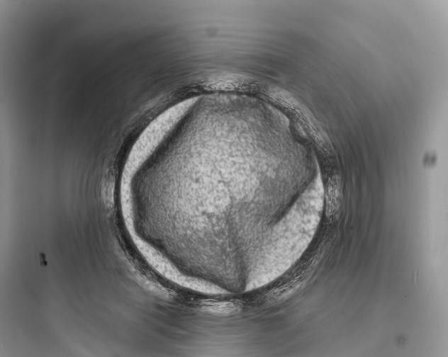 X0000097590454200803211640