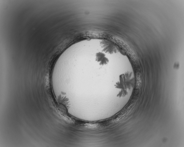 X0000097590457200803211640