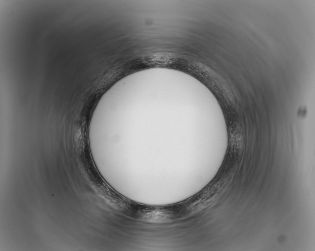 X0000097590460200803211640