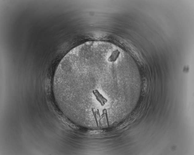 X0000097590461200803211640