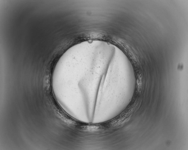 X0000097590462200803211640