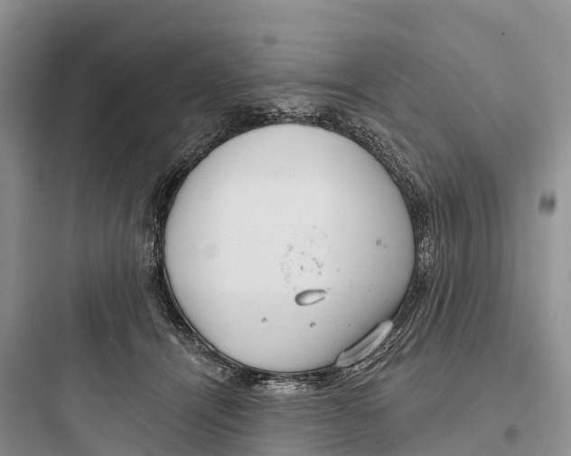 X0000097590464200803211640