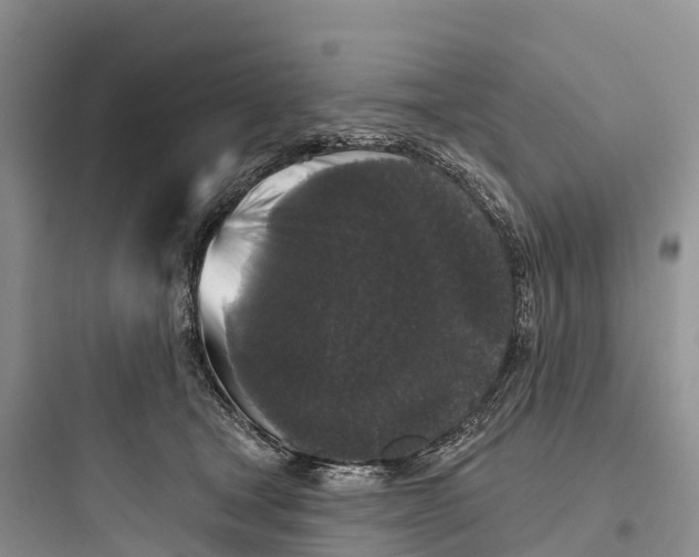 X0000097590465200803211640