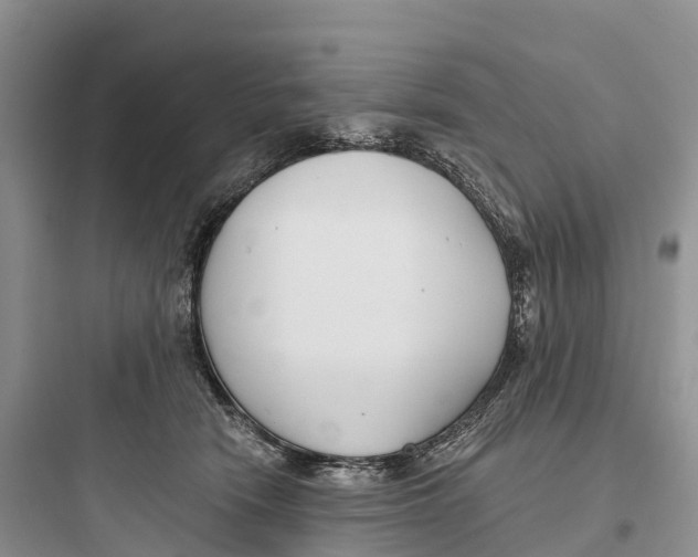 X0000097590466200803211640